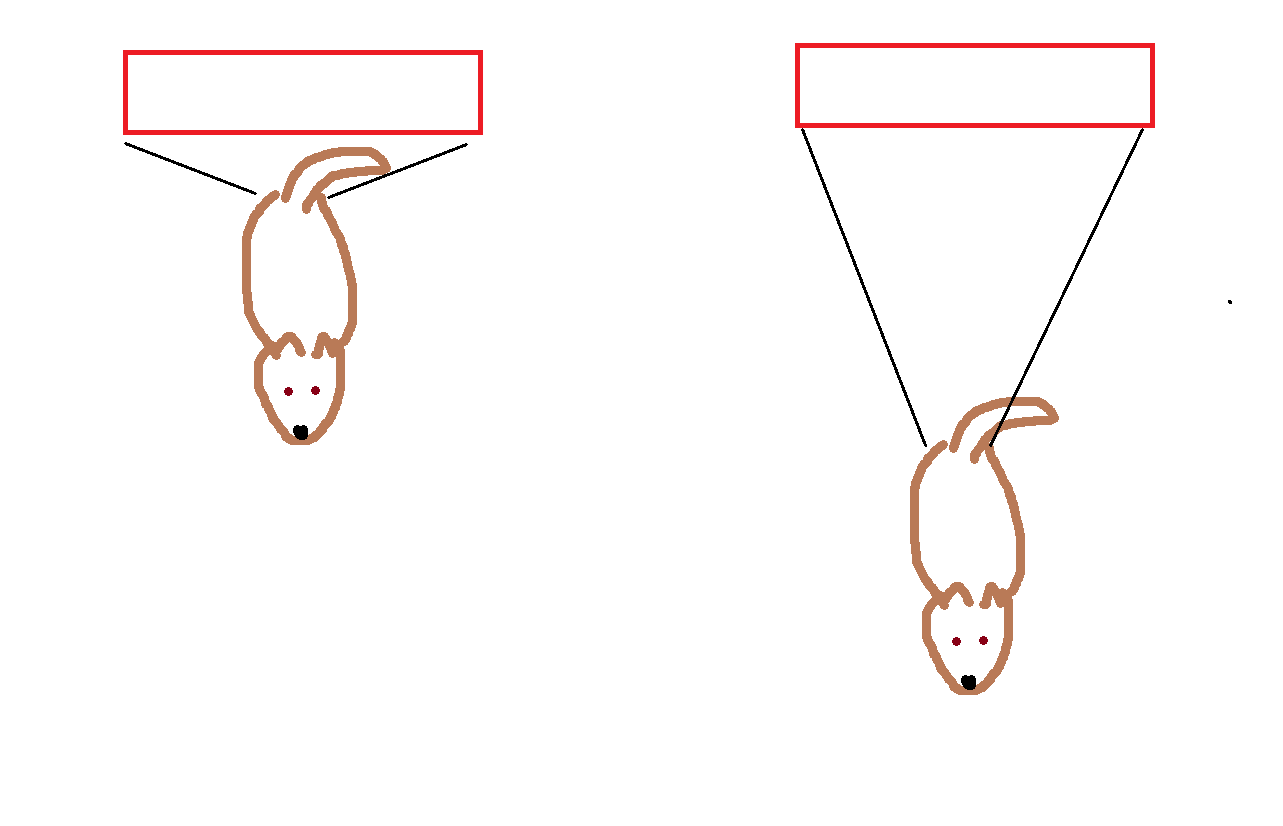 picture showing a dog very close to the wide target and about 2 body lengths away from the wide target.  the angle on the 1st picture is quite large showing how crooked the dog  can be before missing the target.  the angle on the 2nd picture is narrower before the dog misses the target.