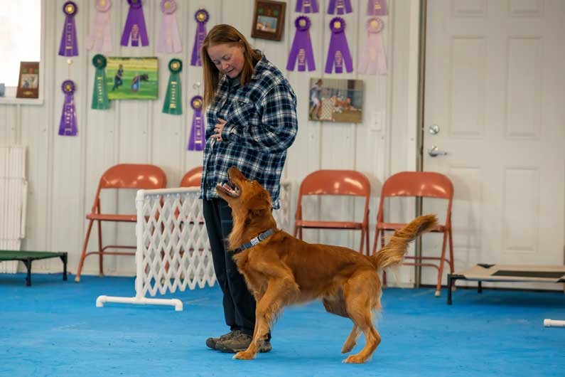 The 6 Skills Behind Every AKC Novice Rally Sign
